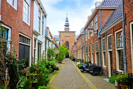 Leafy Dutch street with church tower in background, Haarlem, Netherlandsのeditorial素材