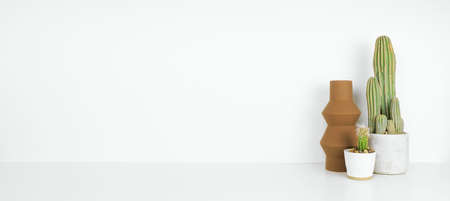 Cactus plants and brown modern geometric vase on white shelf against a white wall. Side view, banner with copy space.の写真素材