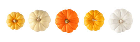 Variety of autumn pumpkins, top view isolated on a white background. Assorted shades of orange and white.の写真素材