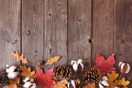 Autumn leaves and natural decor. Bottom border over a rustic dark wood background. Top view with...