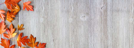 Fall leaves corner border over a rustic grey wood banner background. Top down view with copy space.の写真素材