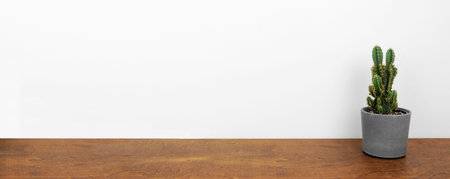 Indoor cactus plant in a cement pot. Side view on wood shelf against a white wall. Banner with copy space.の写真素材