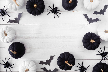 Halloween frame of black and white pumpkins with bats and spiders. Top view over a white wood banner background. Copy space.の写真素材