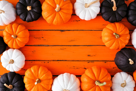 Halloween frame of black, white and orange pumpkins. Above view on an orange wood background. Copy space.の写真素材