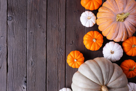 Fall side border of pumpkins of various sizes and colors over a rustic dark wood background. Top...