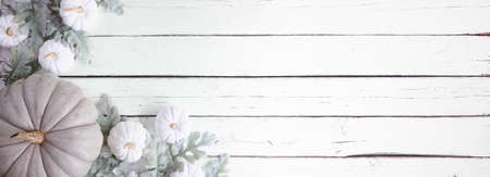 Autumn corner border of green and white pumpkins with soft green leaves over a white wood banner background. Top view with copy space.の写真素材