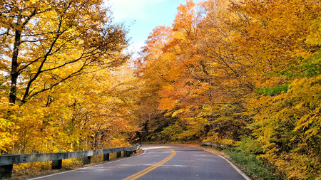 Road through vibrant autumn colors, Smuggler's Notch, Vermont, USA