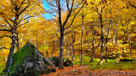 Beautiful fall colors of Smuggler's Notch, Vermont, USAの写真素材