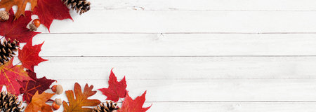 Colorful autumn leaves, nuts and pine cones. Corner border over a white wood banner background. Top...