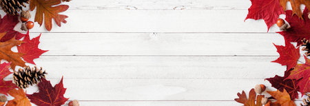Colorful autumn leaves, nuts and pine cones. Double border over a white wood banner background. Above view with copy space.の写真素材
