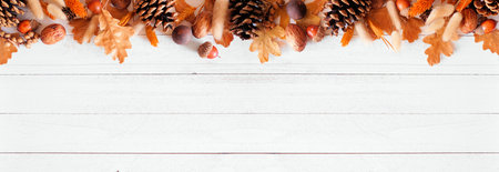 Colorful autumn leaves, pine cones, nuts and grasses. Top border over a white wood banner...