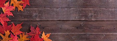 Colorful autumn leaves corner border over a dark wood banner background. Overhead view with copy space.の写真素材