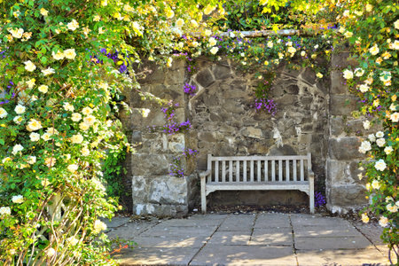 Wooden bench against a stone wall surrounded by arches of climbing white roses. Beautiful garden.の写真素材