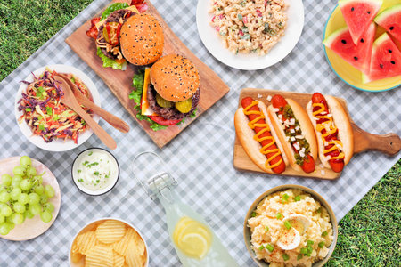 Summer picnic or BBQ food scene. Overhead view with blanket over a green lawn background....