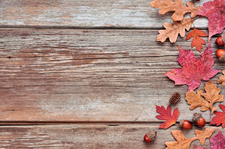 Colorful fall leaves and nuts. Side border over a rustic wood background. Overhead view with copy...