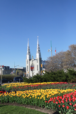 Ottawa Tulip Festivalの写真素材