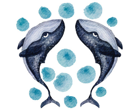 Watercolor illustration of a pair of dolphins swimming with bubbles on a white backgroundの写真素材