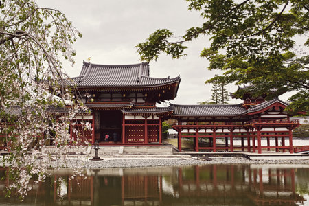 Byodoin temple behind a cherry blossom tree and pond in the town of Uji, Kyoto, Japan.のeditorial素材