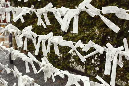 Omikuji fortunes on display at the Fushimi Inari-Taisha shrine in Kyoto, Japan