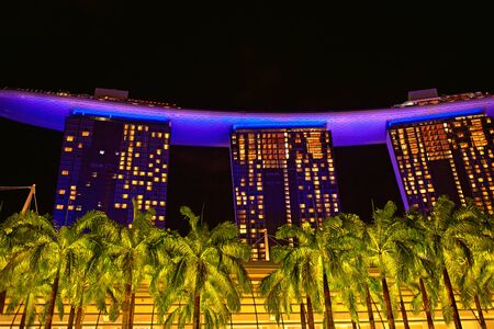 Marina Bay Sands Hotel surrounded by palm trees and illuminated at night.  Singaporeのeditorial素材