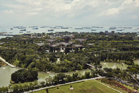 Gardens By The Bay park from above with views of ships in the distance in Singapore.のeditorial素材