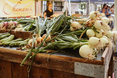 Boulder, Colorado - August 10th, 2019: Stack of local grown white onions on sale at a Farmers Market in Boulderのeditorial素材