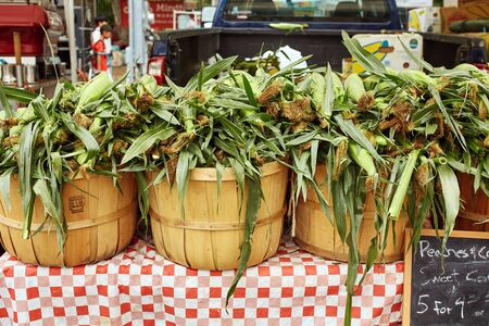 Boulder, Colorado - August 10th, 2019: Buckets of fresh sweet corn on display for sale at a Farmers Marketのeditorial素材