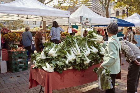 Boston, Massachusetts - October 3rd, 2019: Shopper examines bok choy at a farmers market in Copley Square.  (Brassica rapa subsp. chinensis)のeditorial素材