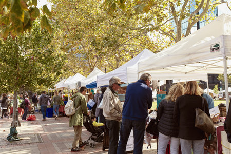 Boston, Massachusetts - October 3rd, 2019: People shopping for fresh produce and local goods at a farmers market in Copley Square on a Fall day.のeditorial素材