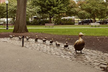 Boston, Massachusetts - October 3rd, 2019:  Make Way For Ducklings statues at Boston Public Garden in the Back Bay neighborhood of Bostonのeditorial素材