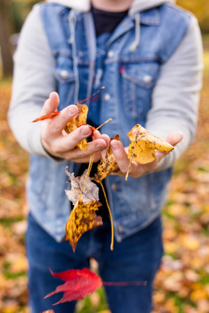 Man holding autumn leaves in her hands. Selective focus on the leaves.の写真素材