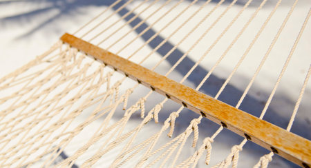 Hammock on a beach.の写真素材