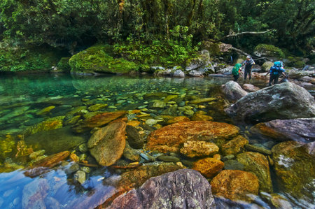 River crossing along the trail going up to Mount Halcon in Oriental Mindoro, Philippinesの写真素材