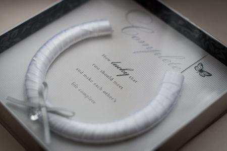 Wedding horseshoe for luck and congratulationsの写真素材