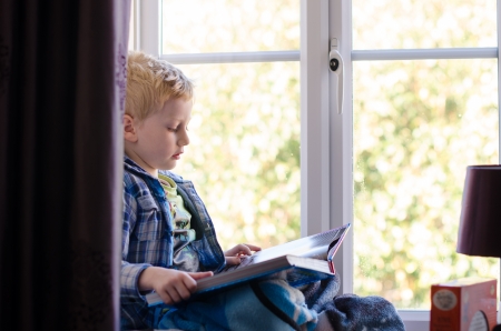 young child reading a book on a window seat behind curtain of living roomの写真素材