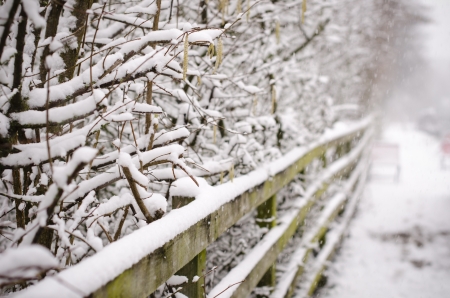 Snowy fence and branches by a tow path in Englandの写真素材