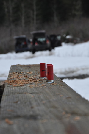 shotguns and jeepsの写真素材