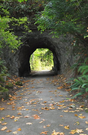 Fall walkの写真素材