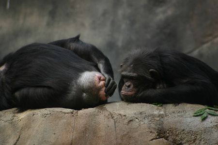 Excuse me!の写真素材