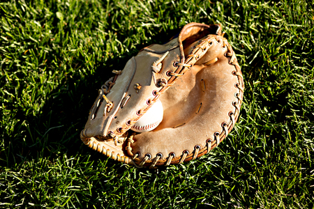 Baseball and glove against green grass in the summer sunの写真素材