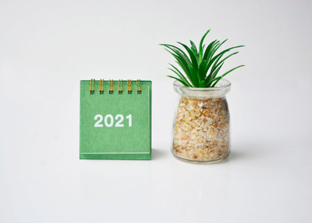 New Year 2021 calendar with wooden block and plant. Happy New Year 2021 Concept