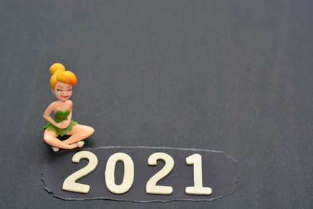 Miniature Fairy Sitting On A Dark Background With Year 2021. New Year 2021 Conceptの写真素材