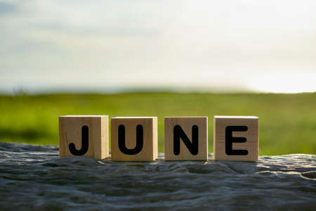 June text on wooden cube block on old tree stump with blurred backgroundの写真素材