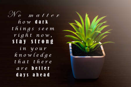 Motivational and inspirational quote on dark background with potted plant. Stay strong conceptの写真素材