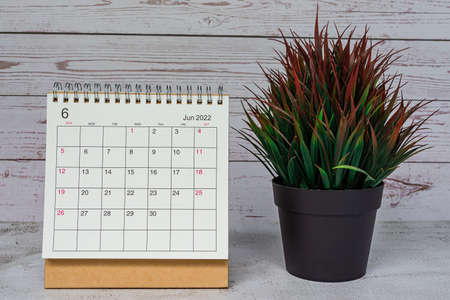 White June 2022 calendar and potted plant on wooden desk. 2022 new year concept. Copy space.の写真素材