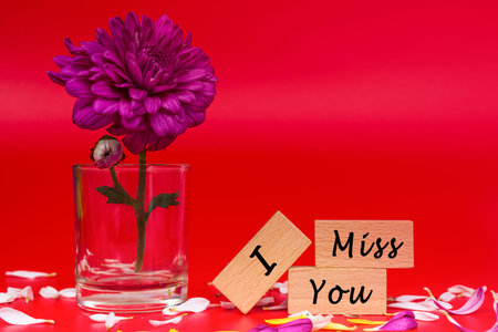 Text on wooden cube and with flower on red background - I Miss You. Copy space