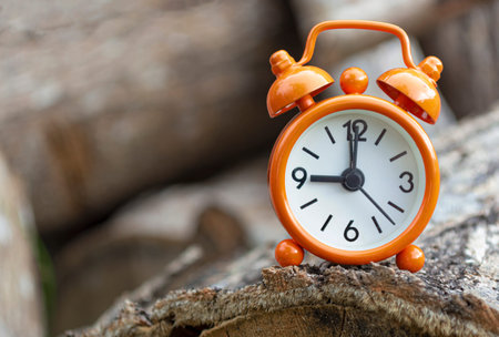 Orange alarm clock isolated on tree trunk. The alarm clock set at 9 o'clock.