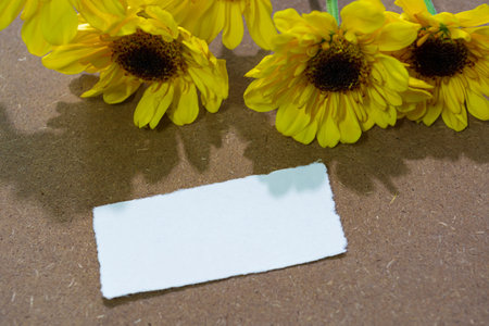 Torn paper on wooden surface and sunflower flat lay with copy space. Directly above.