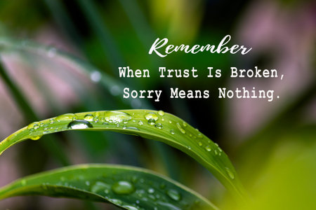 Motivational quote on image with green leaf with raindrops - Remember when trust is broken, sorry...