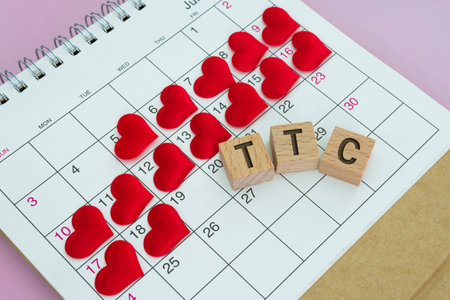 TCC word on wooden block with red heart shape on calendar. Surviving the Two Week Wait when you're trying to conceive.の写真素材